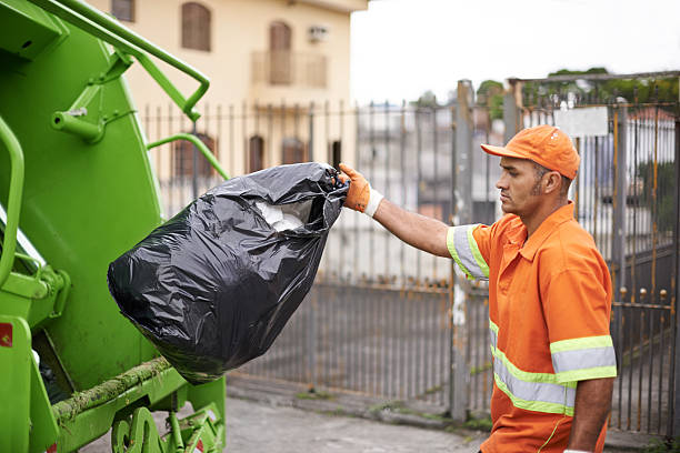 Best Demolition Debris Removal  in Lake Grove, NY